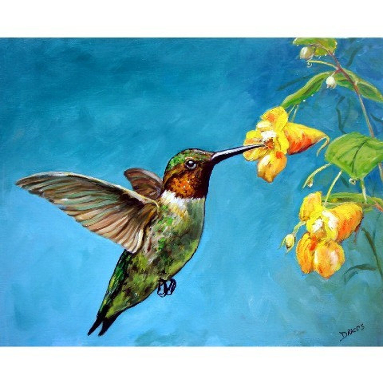 Hummingbird Bird Art Print of Original Painting by Dottie Etsy