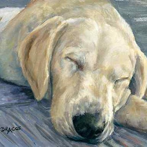 Labrador Retriever, Dog Art, Lab, Lab Art, Sleeping Lab, Lab Puppy, Retriever, Print of Painting, Dottie Dracos, Baby Lab, Yellow Lab, 8x10"