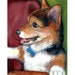 see more listings in the Dog Breeds A thru D section