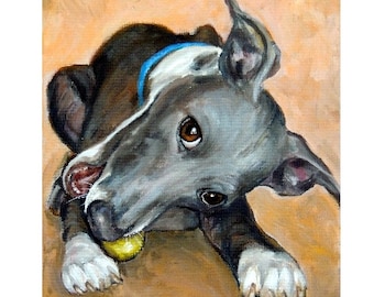 Greyhound, Dogs, Dog Art Print of Original Painting by Dottie Dracos, "Italian Greyhound Tennis Ball" Dog Art, Greyhounds, Sight Dogs 8x10