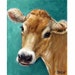 Jersey Cow, Cow Art Print, Dottie Dracos, Jersey Cow on Teal, Modern Farm Art, Farm Art, Kitchen Art, Contemporary Farm,  Various Sizes 