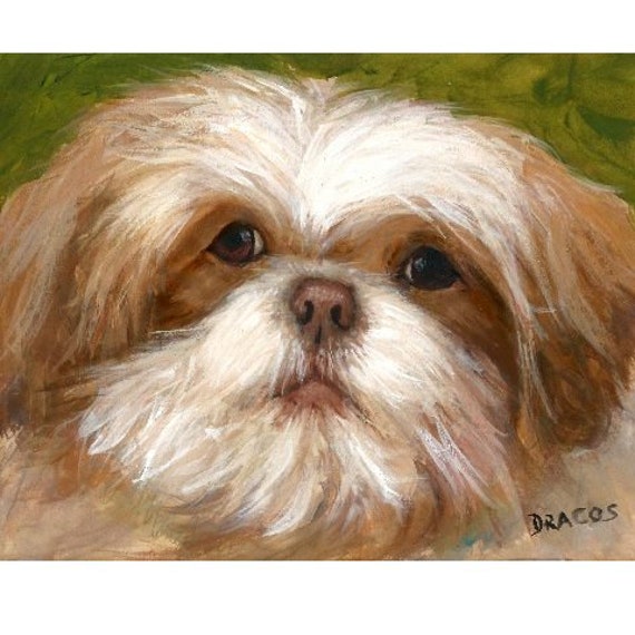 Items Similar To Shih Tzu Puppy Shih Tzu Shihtzu Brown And