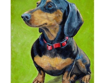 Dachshund, Dog Art, Dogs, Print of Original painted Dottie Dracos, Hound, Black and Tan, Doxie, Sitting, on Lime Green, 8x10 Print