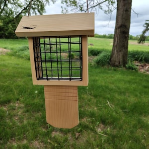 Suet Feeder with Tailboard