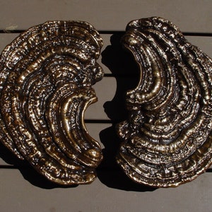 May include: Two bronze-colored mushroom-shaped wall decor pieces with a textured surface. The pieces are arranged in a symmetrical pattern, with the rounded sides facing each other.