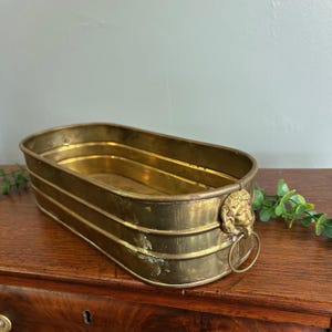 Vintage Brass Jardinière or plant holder with lion head & brass ring handles cache pot