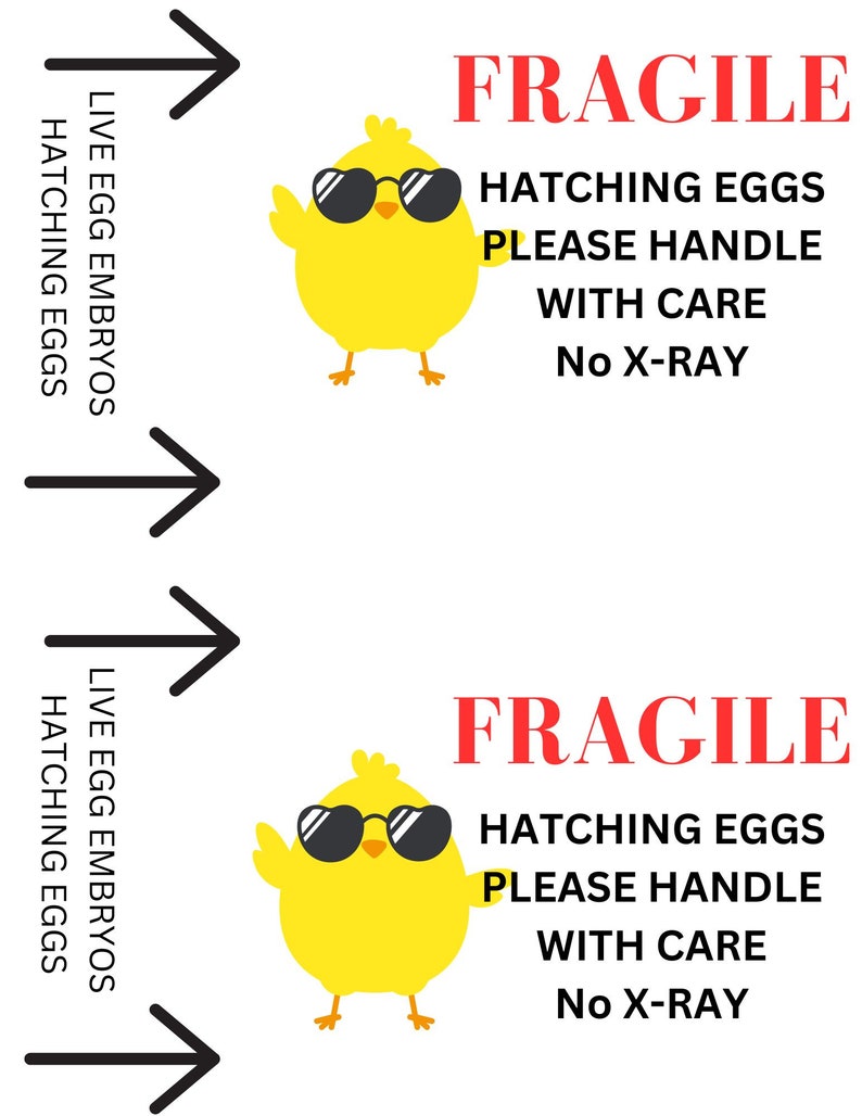 Hatching Eggs Shipping Labels Stickers FRAGILE Chicken Eggs Etsy