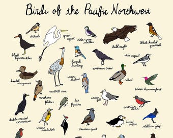 Birds of the Pacific Northwest Print - 9x12 or 11x17 Oregon Washington PNW Nature Art