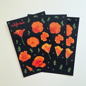 Lot de cartes postales coquelicots de Californie - 3, 5, 10 ou 20 cartes postales souvenirs de fleurs de coquelicots de l'État de Californie
