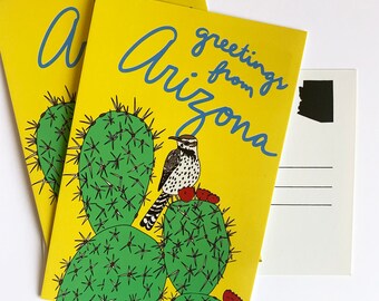 Arizona Cactus Wren Postcard Set - 3 AZ Nature Bird Outdoors Desert Plant Souvenir Postcards