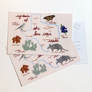 Jeu de cartes postales du Texas - 3 symboles d'état de la carte du Texas Lone Star - Noix de pécan, bleu bonnet