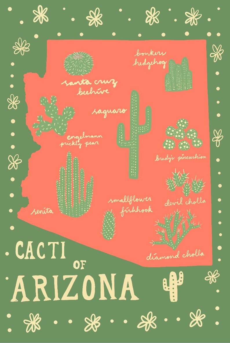 Arizona Cacti Ansichtkaartenset 3 of 5 AZ State Cactus Souvenir Ansichtkaarten Saguaro, cholla, cactusvijg, senita afbeelding 2