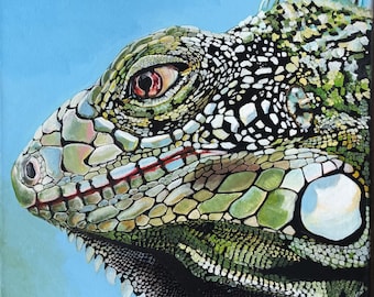 Iguana, Iguana, Retrato De Animal