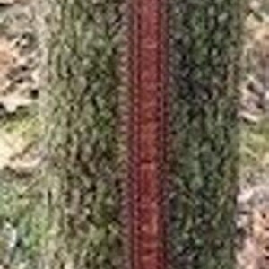 Vintage Men's Brighton Leather Belt M10055 Size 40 image 2