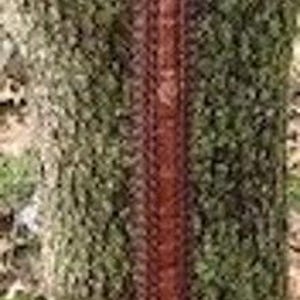 Vintage Men's Brighton Leather Belt M10055 Size 40 image 1