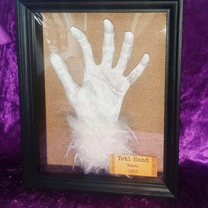Könnte beinhalten: Ein gerahmtes Exponat mit einer weißen, strukturierten Handskulptur mit langen Fingern und einer Manschette aus weißem Kunstfell am Handgelenk. Die Hand ist auf beigem Jute-Hintergrund in einem schwarzen Rahmen montiert. Ein Etikett zeigt Yeti Hand Nepal 1951.