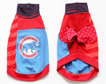 BIGGY IGGY italian greyhound biggie iggie CATNEYDOGNEY by courtneycourtney upcycled jersey tshirt outfit baseball team blue cubs cubbies