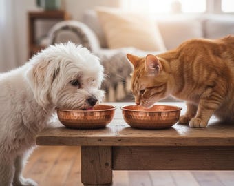 Hammered Copper Pet Bowls | Pure Copper Water Bowl for Small Dogs and Cats | Handmade Artisan | Natural Antibacterial | Gift for Pet Lovers
