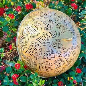 May include: A gold-colored, round metal pendant lamp with a perforated design. The lamp is decorated with a pattern of small and large circles. The lamp is surrounded by green leaves and red flowers.