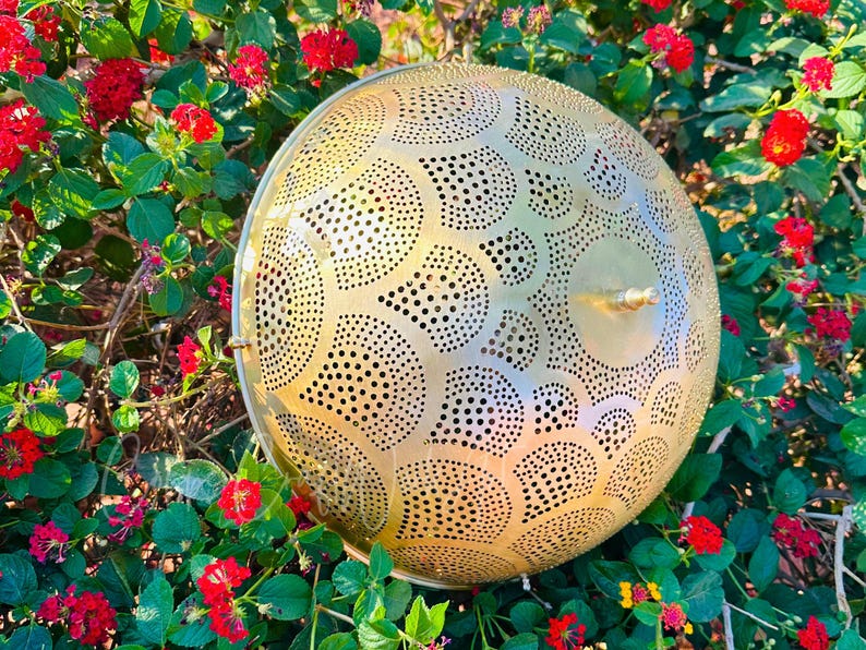 May include: A gold-colored, round metal pendant lamp with a perforated design. The lamp is decorated with a pattern of small and large circles. The lamp is surrounded by green leaves and red flowers.