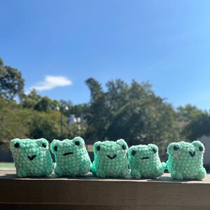 Pocket sized frog plushie