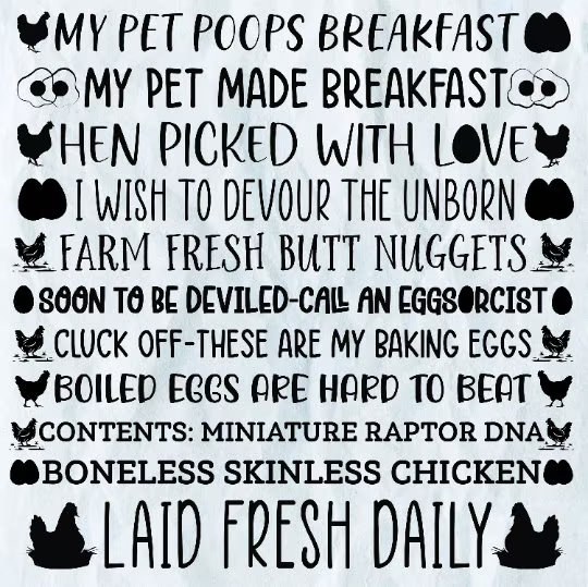 Egg Container Sayings Svg, Egg Svg, Farm Fresh Eggs Svg, Chicken Egg ...