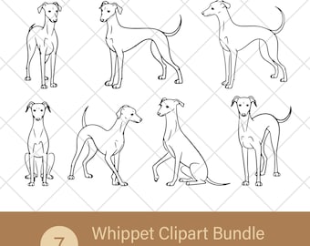 Whippet Line Art Bundle – 7 Whippet Poses in Svg Png Eps Ai