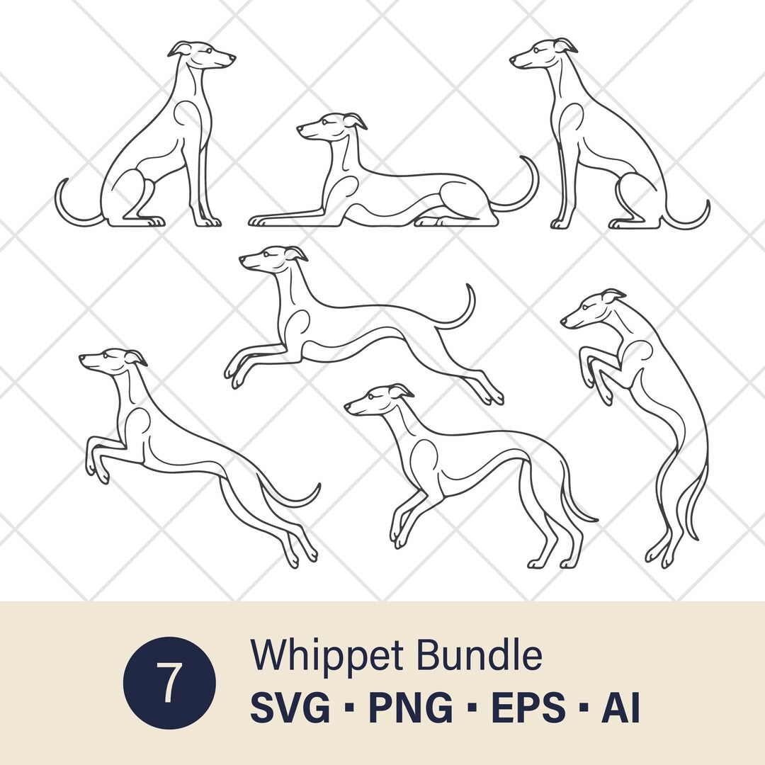 Modern Whippet Line Art Bundle – 7 Minimal Vector Designs - Etsy