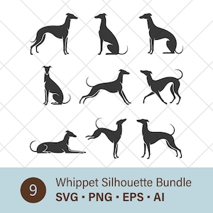 Peut inclure: Collection de neuf silhouettes noires de chiens whippets dans diverses poses. L'image comprend une bannière turquoise avec le texte "Whippet Silhouette Bundle" et les options de type de fichier : SVG, PNG, EPS et AI. Un cercle marron avec le chiffre 9 est en bas à gauche.