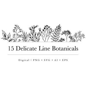 15 Delicate Botanical Line Drawings – Png Svg Eps Ai – Minimalist Plant Clipart