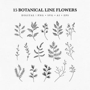 15 Botanical Line Flowers – Delicate Floral Clipart | Png Svg Ai Eps for Cricut and Design Projects