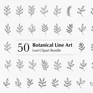 50 Botanical Line Art Leaves – Minimalist Leaf Clipart Bundle | Png Svg Ai Eps for Cricut and Prints