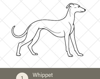 Whippet Minimal Line Art – Single Dog Svg Png Eps Ai