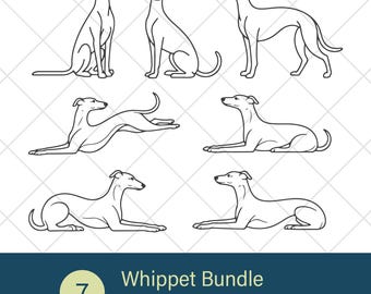 Whippet Bundle — 7 Minimal Whippet Illustrations in Svg Png Eps Ai