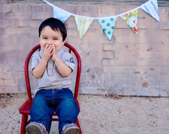 On Sale, Designer's Choice, 5 Large Flag Bunting. Gender Neutral Banner Garland, Photo Prop, Decoration.