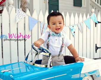 Half Price, Boy Fabric Bunting Photo Prop, Party Flags in Light Blues with Brown and Green Accents. Designer's Choice Cotton Fabric Bunting.