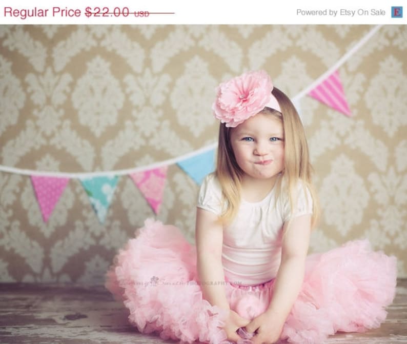 Designer/'s Choice Fabric Pennant Flags Surprise Pink and Blue Party Decor Shabby Chic Bunting Medium Flags Photo Prop.