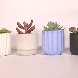 Concrete Succulent Planter: Modern Indoor Garden Decor