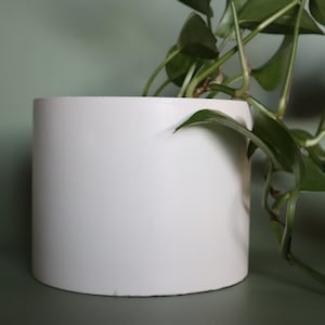 May include: A white cylindrical planter with a green leafy plant growing out of it. The plant is a trailing vine with heart-shaped leaves.
