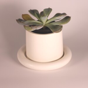 May include: A white ceramic planter with a saucer, featuring a succulent plant with green leaves.