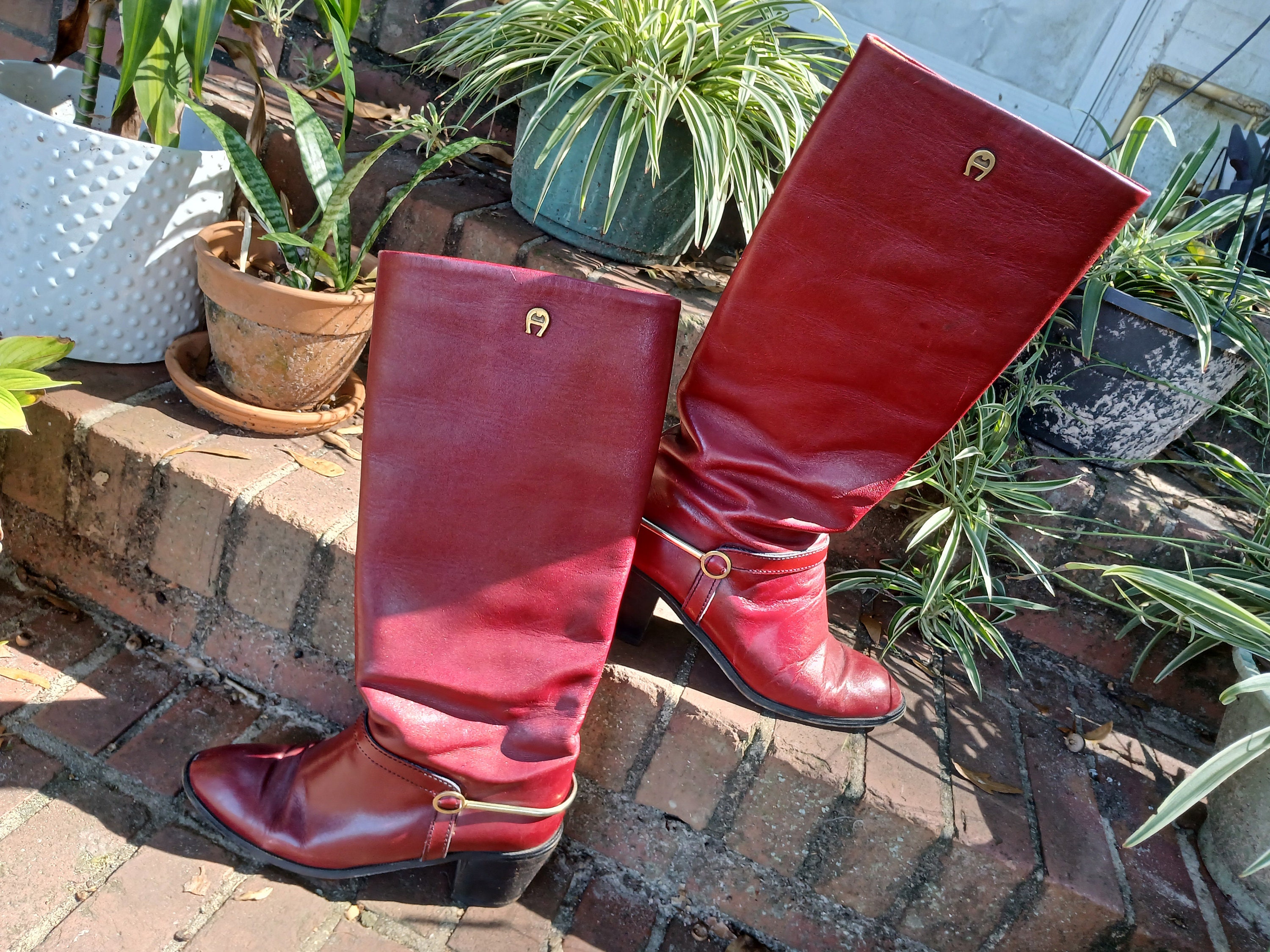 Damen Stiefel Etienne Aigner Stiefel Etienne Aigner Schuhe