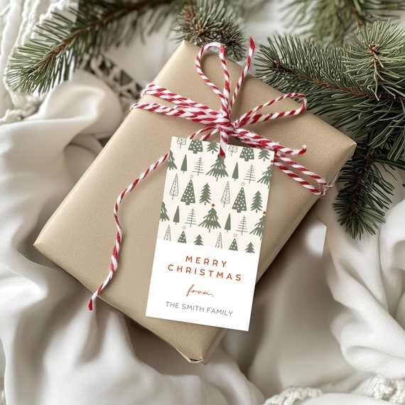 PRINTED Christmas present personalized gift tags, Holiday Gift Tag, Christmas tree tags, Gift Tags, Custom Name Tags, Tag Label 7379