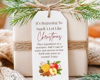 PRINTED Stovetop Potpourri Christmas Gift Tag, Teacher Gift Label, Neighbor Gift, Simmering Stovetop Potpourri Tag, Holiday Tags - 2823