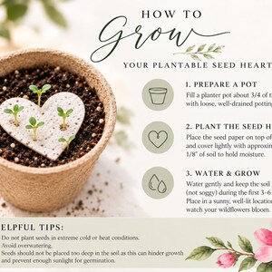 May include: A beige planter pot filled with dark soil and a white heart-shaped seed paper with small green sprouts. The text reads: HOW TO GROW YOUR PLANTABLE SEED HEART, 1. PREPARE A POT, 2. PLANT THE SEED HEART, 3. WATER & GROW, HELPFUL TIPS.
