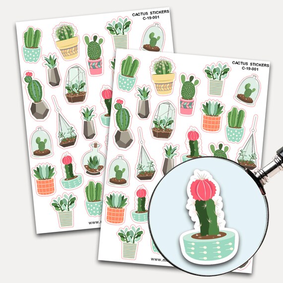 30 THANK YOU CACTUS SUCCULENTS ENVELOPE SEALS LABELS STICKERS PARTY FAVORS 1.5/"