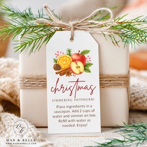 Può includere: Una confezione regalo bianca avvolta con spago e ornata da un'etichetta. L'etichetta presenta un'illustrazione ad acquerello di una mela, una fetta d'arancia, un bastoncino di cannella e una pigna. La parola "christmas" è scritta in corsivo.