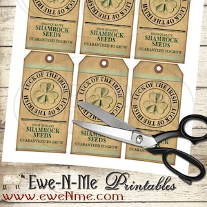 St Patricks Day Tags - Luck of the Irish Shamrock Seeds Tag - Rustic Farmhouse Primitive Style - Printable Digital PDF or JPG File