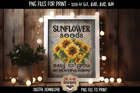 Sunflower Seeds Sublimation Design | Vintage Flower Printable  | Vintage Rustic Sunflower Flower Printable PNG Design