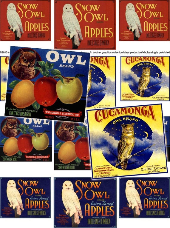 items similar to vintage owl labels printable collage