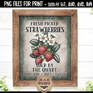 Fresh Picked Strawberries Sublimation Design | Vintage Strawberry Printable  | Old Fashioned Farm Stand Printable PNG Design